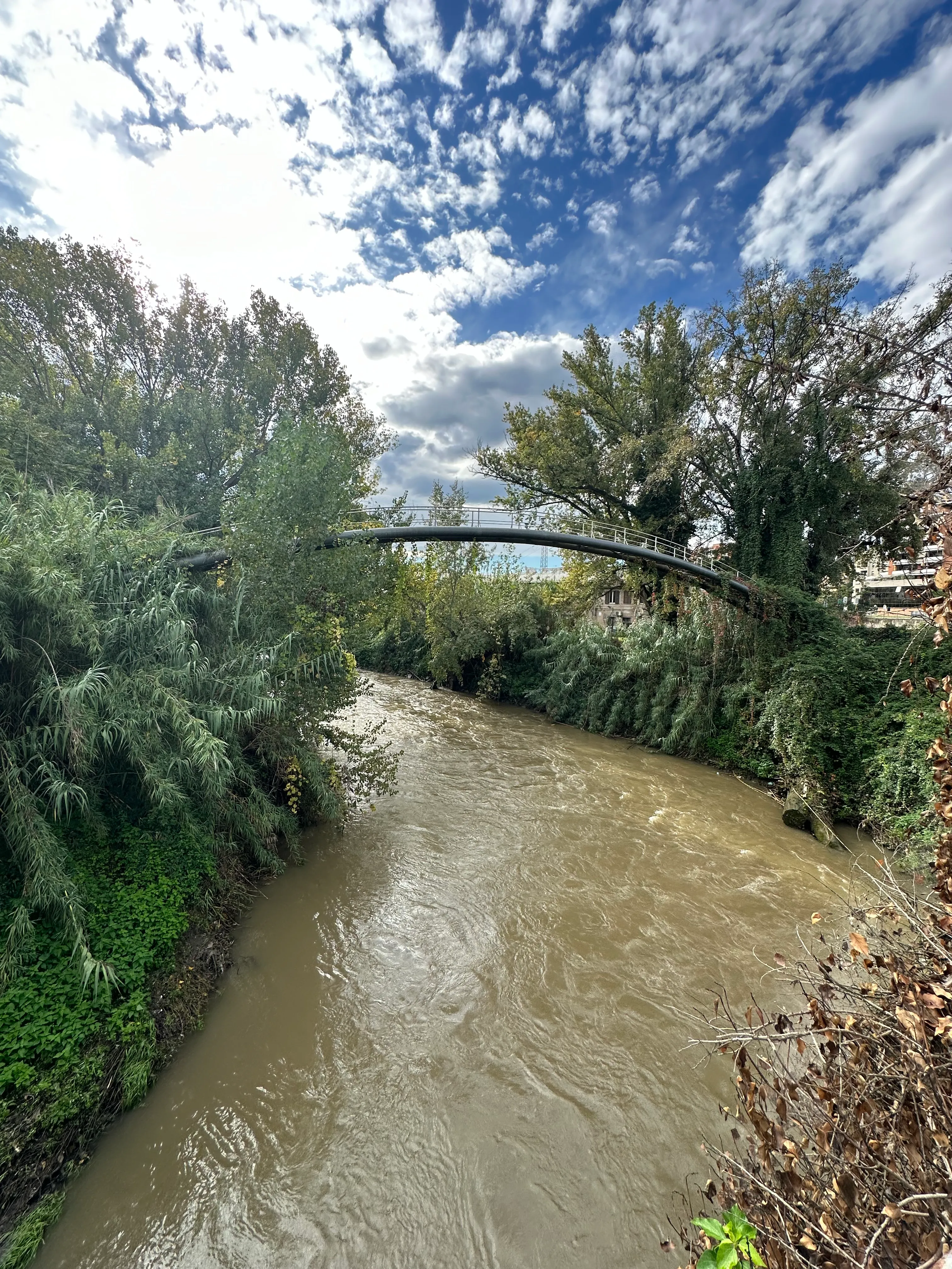 Ricognizione