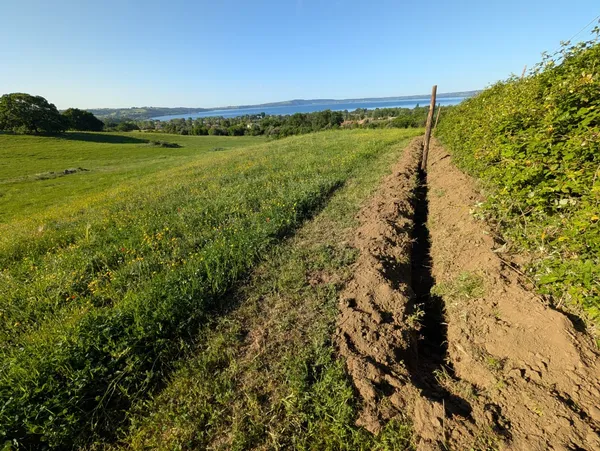Sorveglianza archeologica in corso d’opera per progetto di Tutela e valorizzazione del verde urbano ed extraurbano - interventi di forestazione urbana, periurbana ed extraurbana. — Studio Matrix Lab