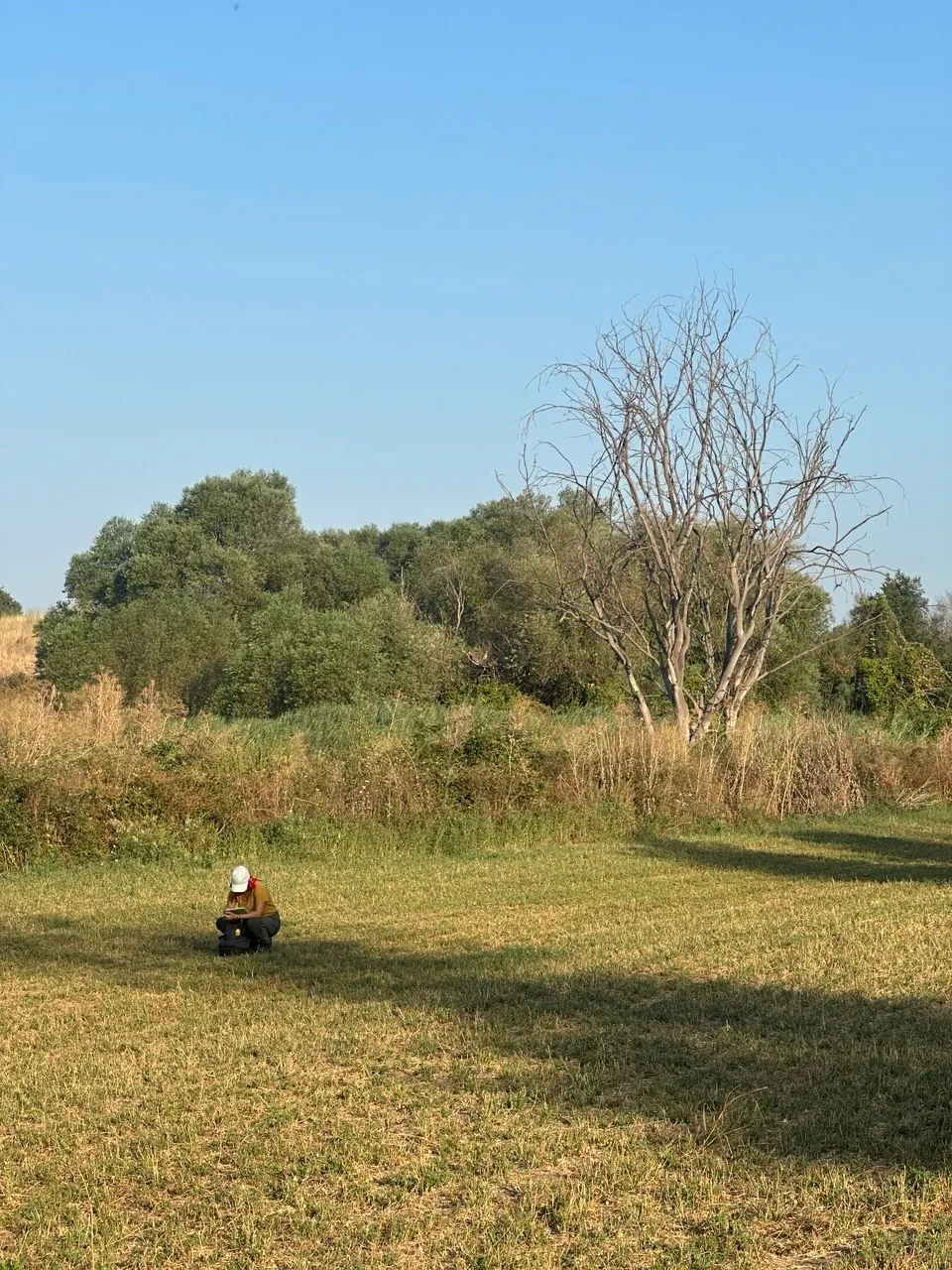 Ricognizone sul campo