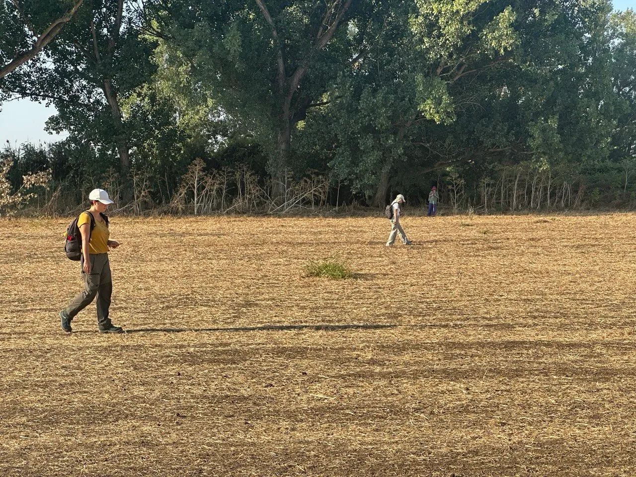 Ricognizione sul campo